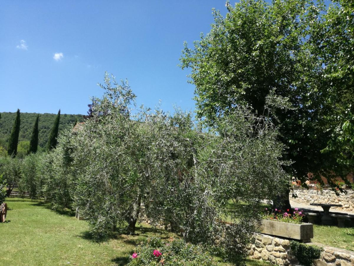 Borgo Di Barigianino Aparthotel Sovicille Luaran gambar